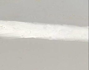 紫禁城漆業 實現鋼結構重防腐涂料水性化